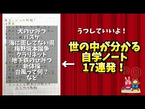 [6th Grade Independent Study] Plus-One Notebook for Elementary Students' Summer Homework!⭐︎ 5th &...