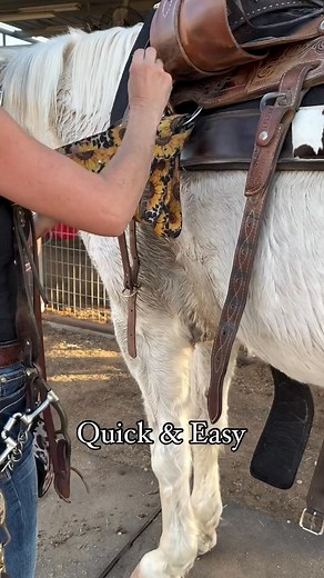 Easy Release for faster tack up😜🌻 Cinch-Strap 🐴 CinchPad 👖 Jeans 👢 Boots 🤠 Cowboy ------------ https://amzn.to/4p6BFHY | Moran Stephanie