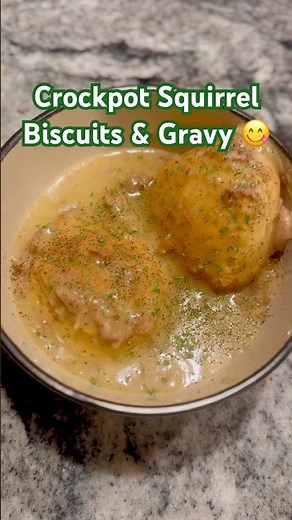Delicious Crockpot Squirrel Biscuits & Gravy 😋 #cooking #recipe #yummy #squirrel #food #homemade