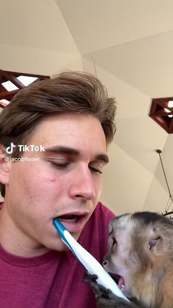 The best dentist on the block 😂 🦷 #animals #monkey #dentist