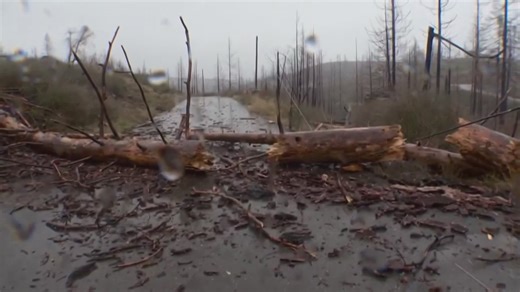 California's intense winter storms turned some roads into rivers of mud