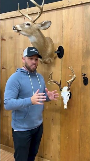 Quick Setup Guide: Display European Mounts with the Skull System