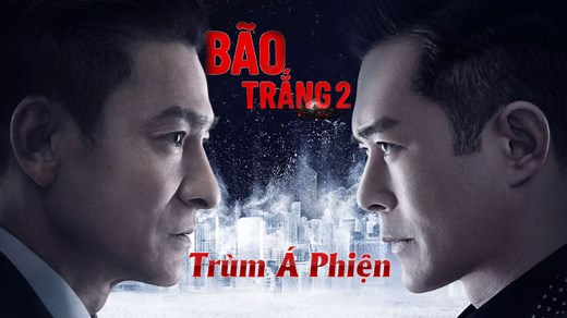 Bão Trắng 2: Trùm Á Phiện - The White Storm 2: Drug Lords (2019)