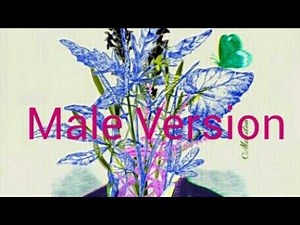 Irreplaceable - Beyoncé (Male Version)