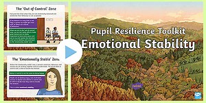 Emotional Stability Information Presentation