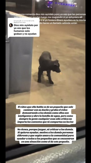 Respuesta a @Doris Villanueva #es bien importante, aprender a leer los subtítulos y es importante empezar a bloquear o que estas personas te dejen de seguir y que no te entregan tus videos nada más a criticar a juzgar siempre es la misma historia si yo estuviera.. si yo tuviera dinero, no necesitas dinero para poder ayudar. Busca la manera de ayudar compartiendo el video dando información sale a tu comunidad ayudar.. el problema es que estas personas sólo buscan la manera de llamar la atención a