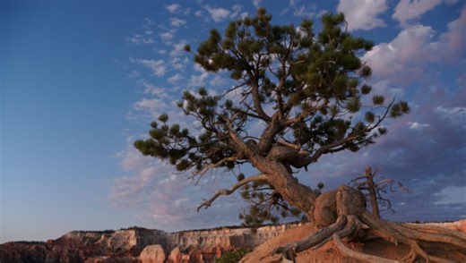 OM-3 Mirrorless Camera for Travel and Landscape | Fstoppers