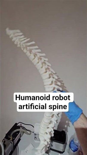 We've built a spine for our humanoid robot!