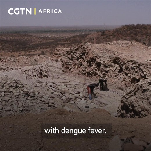 Black fever cases surge in Kenya's arid regions Kenya is facing a dangerous surge in kala-azar (also known as black fever), a life-threatening parasitic disease transmitted by sandflies and fueled by climate change. Arid counties, including Wajir, Mandera, and Turkana, are among the hardest hit. | CGTN Africa