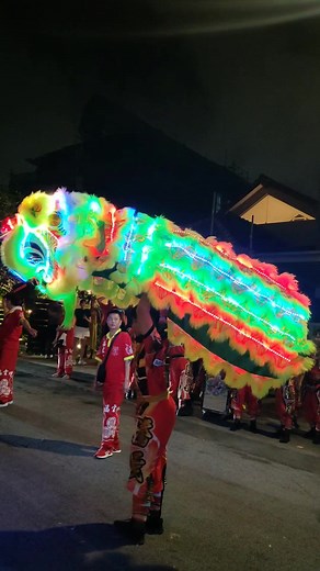 Singapore Teng Ghee Lion Dance Performance: Celebrating Traditional Culture