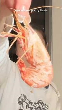 The Best Way to Cook Your Spot Prawns