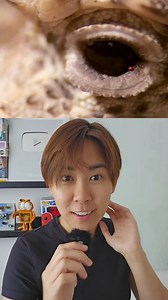 Horned lizards are well adapted to their desert habitats, with camouflage that helps them blend into the sandy or rocky terrain. Their diet mainly consists of ants, especially harvester ants, but they may also eat other small insects. One of the most fascinating defense mechanisms of the horned lizard is its ability to shoot blood from its eyes as a deterrent to predators. This blood-squirting behavior is aimed at confusing or repelling predators, particularly canines. Additionally, their spiny 