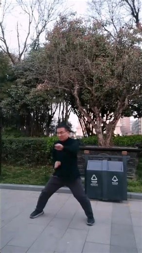 Master the Essence of Bagua: 5 Key Forms Explained