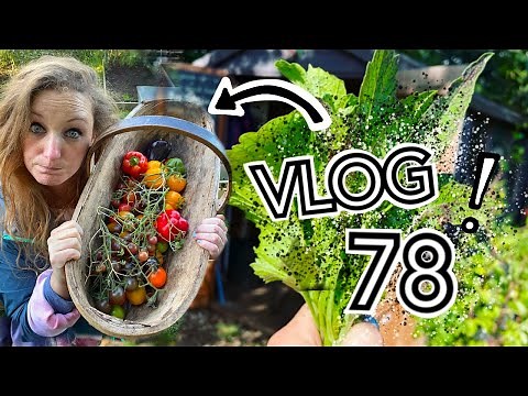 Seeds to Sow in October, Planting out Garlic, Polytunnel repairs and Weather!| Plot 37 (Episode 78)