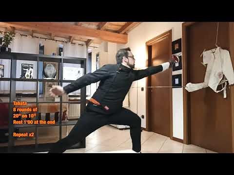 Fencing target practice with timer
