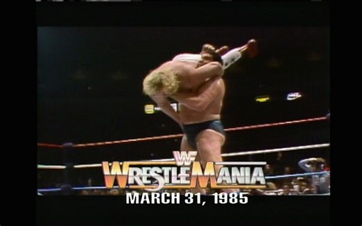WWE.Wrestle.Mania.摔角狂热.1994