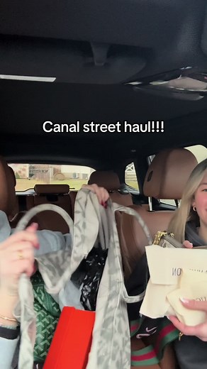 Canal Street Haul: Luxury Bags in NYC