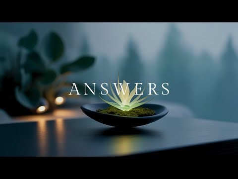 Beautiful Relaxing Music for Stress Relief and Deep Peace | Calm Instrumental for Mindful Moments