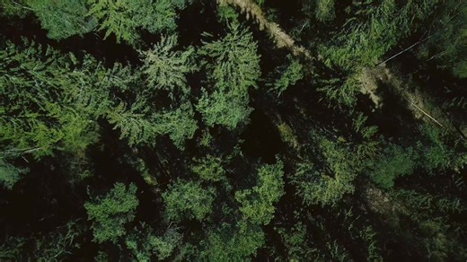 Product Chat with the ALL NEW Mathews Archery, Inc. ARC #bowshop #archery #bowhunter #deerseason #mathewsarchery #bowlife | Rack Attack Archery | Facebook