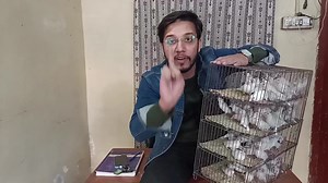 Exhibition Java 150 White Java | Java Profitable business plan | Karachi me pehli baar ✨🕊️ | Laraib ali syed