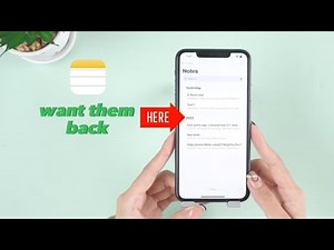 How to Recover Deleted Notes on an iPhone in 3 Ways