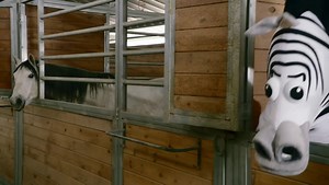 YouTube Rewind 2010, 2012, 2014, 2018, and 2019