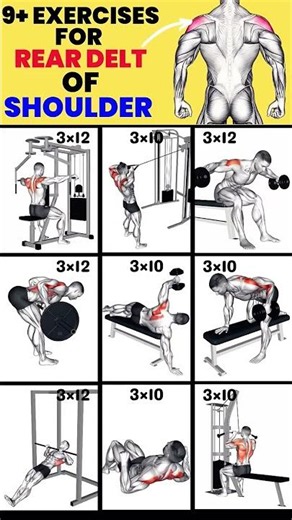 Top 9 Exercise For Rear Deltoid of Shoulder #workout #shoulderworkout
