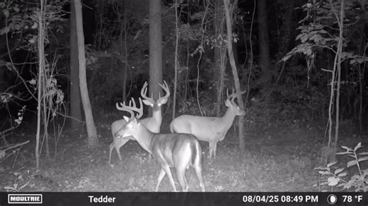 Moultrie Products on Reels