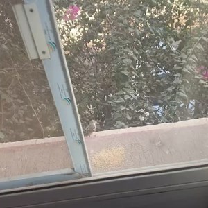 Mohammed Tarek on Reels