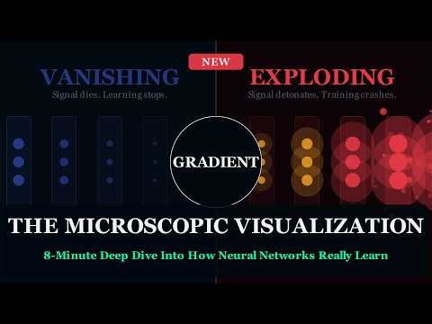 I Zoomed INTO a Neural Network — This Is What Gradients Look Like
