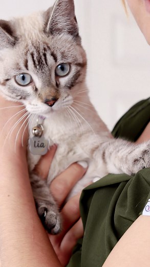 A day in @banupetspa 🐾 whit Mapau scrubs✨ #scrubs #spa #banuspa #uniformes #veterinario #mascotas #perrhijo | MAPAU scrubs