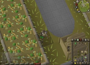 You can harvest an allotment and put it into the compost bin at the same time.