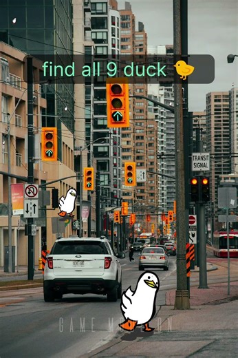 👁️eye check || 9th duck🐤hardest to find #duck #duckvideo #findchallange #trandingshorts #viralshorts