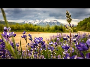 Holy Spirit Come | Anointed Worship | Alone With God | Deepest Prayer Music