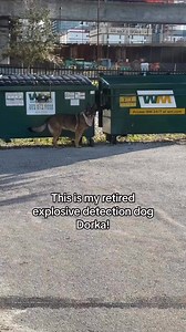 3.4M views · 70K reactions | Why does she keep doing this to me??  | Dorkabel | Facebook