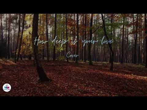 How Deep Is Your Love ❤️ Bee Gees | Classic 70s Romantic Ballad