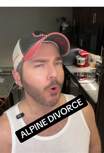 #alpinedivorce #fyppppppppppppppppppppppp | divorce strategy