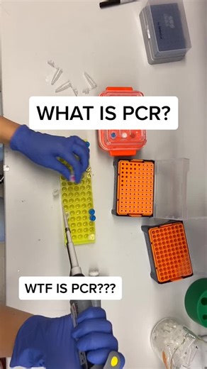 Understanding PCR: The Science Behind It
