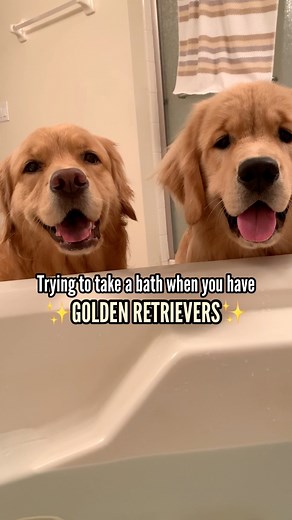 Never a dull moment 😂🛀 | Golden Girl Xena