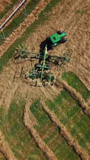 Deg Forages Ltd. on Instagram: "2 basket hay rake vs 4 basket hay rake #degforages #farming #agriculture #alberta #johndeere #farmer #farmlife #fyp #rake"