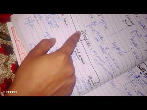 chemical coordination MDCAT one shot