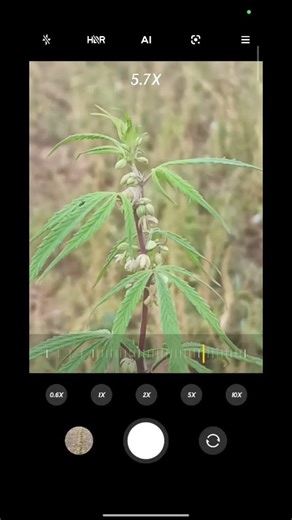 poco f3 gt camera zumming tast you #tube #viral# shot #video