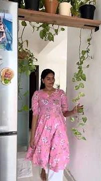 నా Money Plants Growth Secret💁‍♀️🌿 #nivasabyharika #moneyplanttips