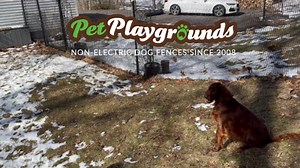 Train your dog in a private dog park! 🐾 The freedom is the reward=.... #PrivateDogPark #PersonalizedTraining #HappyPups #DogTraining #BookNow | PetPlaygrounds