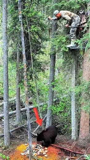 When a Black Bear Charged Me: The Spear Throw That Changed Everything#challenge #hunting #wildlife