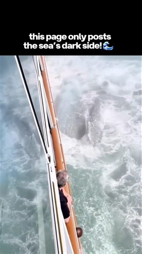 Sea of Spectres – Dark Ocean Mysteries on Instagram: "❄️ Alaska Glaciers Cruise: Facing the Biggest Iceberg 💀🌊 Not all ice is created equal. In Alaska, some icebergs are not just massive — they’re terrifying giants that can crush ships and swallow entire landscapes in their shadow. 🚢 Cruise vs. Colossal Ice: Modern ships face nature’s frozen monsters 🧊 Ice Giants: Towering, jagged, and unpredictable — these icebergs move with hidden currents 🌪️ Hidden Danger: Collisions, sudden calving, and