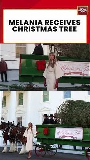 Melania Trump Welcomes the 2025 White House Christmas Tree | White House | Trump Family
