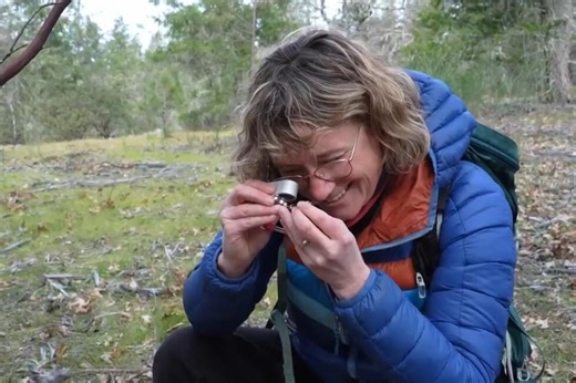 Scientists seek to protect fungi as changing climate threatens mushrooms, lichens