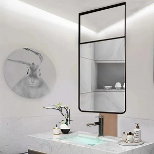 [Hot Item] Stainless Steel Hotel Bathroom Ceiling Hanging Mirror Smart Bathroom Mirror Customization