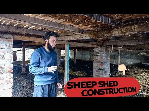 How To Construct A Sheep Shed || A Step-by-Step Guide #sheep #construction